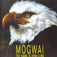 The Hawk Is Howling