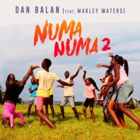 Numa Numa 2 (feat. Marley Waters) - Single