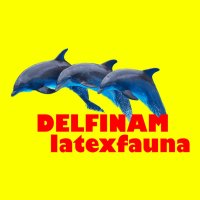 Delfinam (Single)