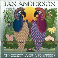 The Secret Language Of Birds