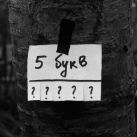 5 букв - Single